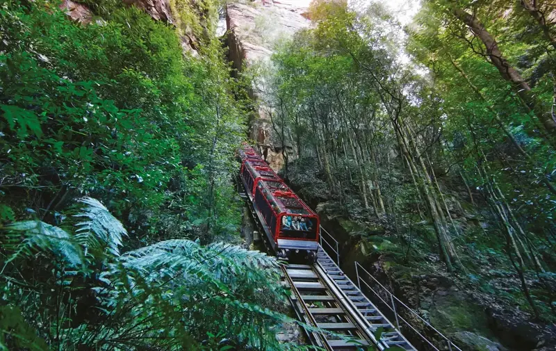 Scenic Railway descending through the rainforest