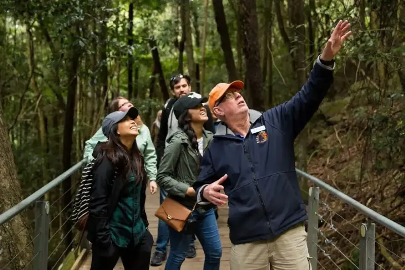Guide and visitors on a rainforest walk
