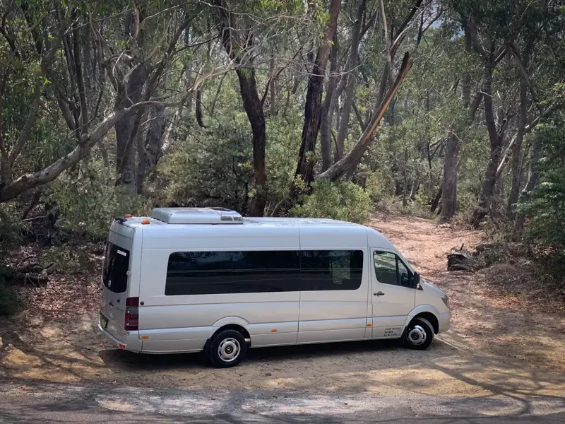 Tour vehicle beside a wooded road