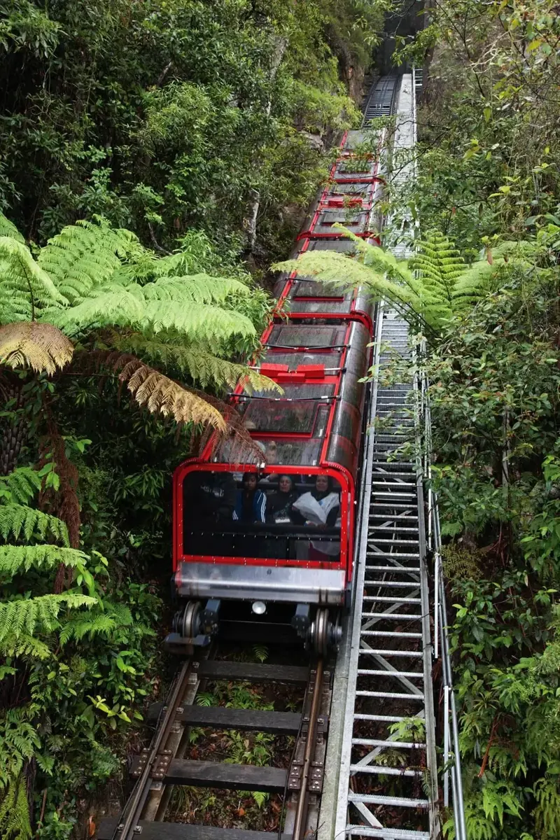 Scenic Railway — optional admission