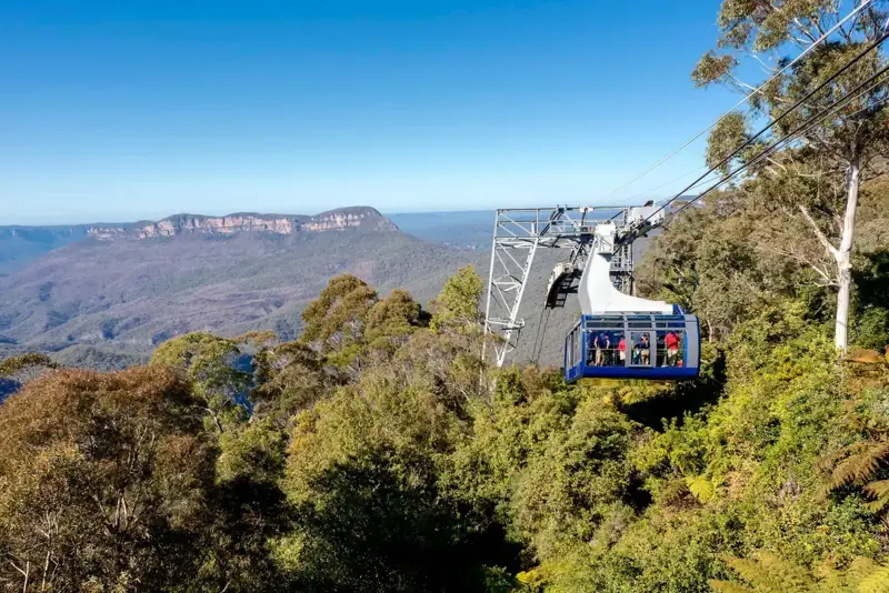 Scenic Cableway above the forest