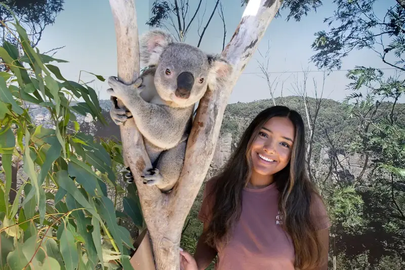 Visitor beside a koala