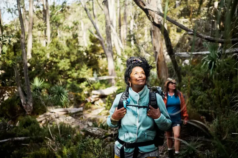 Walkers following a forest trail